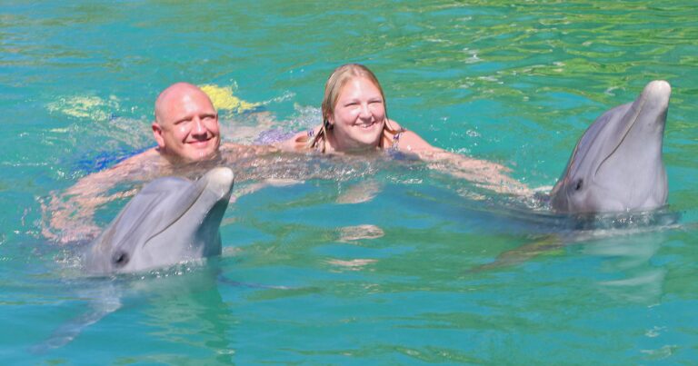 Swimming with Dolphin